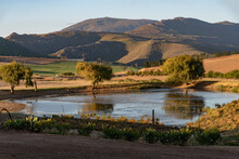 Caledon, Western Cape, South Africa. 2022. Evening Light In The Overberg, A Farm Pond With A Backdrop Of The Riversonderend Mountains.