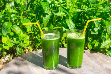 Two glasses with drinks from fresh herbs, smoothies from green leaves saturated with chlorophyll on a mint background. Healthy diet