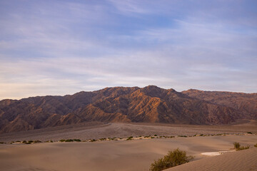 Canvas Print - road to the desert