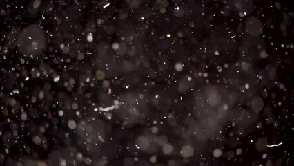 Wall Mural - real dust particles motion floating in the air. organic cinematic effects background macro slow moti