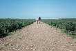 © Cavan Images - active retired couple walking in a field along the Jurassic Coast