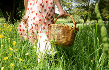 Woman's Hand Holding A Wicker Picnic Basket Through A Field In Summer
