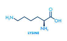 Lysine Formula, Great Design For Any Purposes. Essential Amino Acid Simple Skeletal Formula.