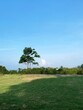 Natural community park space with lush green hillside , blue sky background  