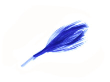 Watercolor Painting With Blue Ink Isolated On White, Resembling A Plant Or Flower