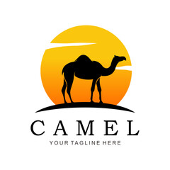 Wall Mural - camel in the desert