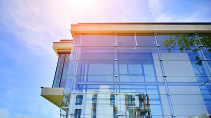 Wall Mural - Eco architecture. Green tree and glass office building. The harmony of nature and modernity. Reflection of modern commercial building on glass with sunlight. 