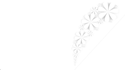 Fototapete - White background with white paper flowers. Concept image of happy Invitation and reception sign. 3D high quality high-key rendering. 3D illustration. High resolution.