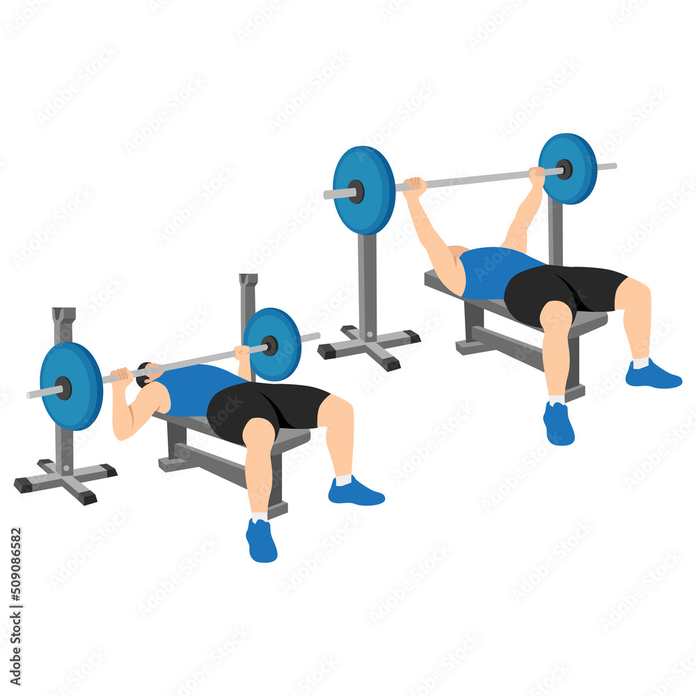 Man doing barbell bench press. Chest Press. flat vector illustration ...