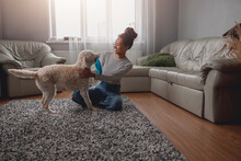 Relaxed Smiling Young Pretty Female Playing With Her Curly Pet Dog Indoor