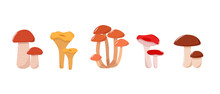 Set Of Mushroom Icons Vector. Illustration Of Boletus, Chanterelles, Honey Mushrooms, Aspen Mushroom And Russula.