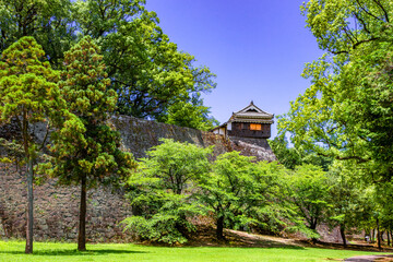 Poster - 熊本城