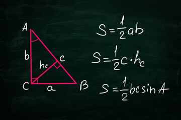 Wall Mural - Basic triangle area formulas written on chalkboard