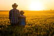 Father and son are standing in their growing wheat field. They are happy because of successful season and enjoying sunset.