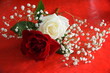 Roses avec cœurs  sur fond rouge. Fond Saint-Valentin. Fond Love 