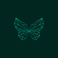 Polygonal Insect. Abstract Geometric Butterfly Logo Template Vector Illustration