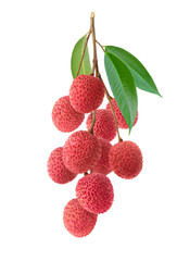 Wall Mural - bunch of lychee isolate on white background.