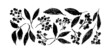 Branches with leaves and berries vector collection. Hand drawn black paint plant elements. Charcoal pr pencil drawing. Rough twig, black leaves with rough edges. Silhouette of herbs isolated on white 