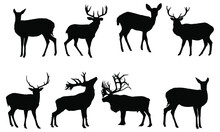 Silhouette Of Beautiful Stylized Cartoon Deer On White Background. Vector Illustration