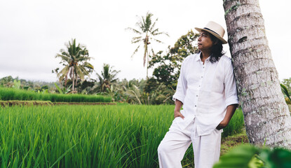 Wall Mural - Pondering male farmer in casual wear standing near palm tree at rice fields in Indonesia and thinking about agriculture business, adult man in hat visiting paddy cultivation during harvesting season