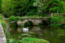 Peaceful Swan Swimming By Stone Footbridge