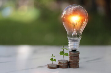 Light bulb on coins and young plant on top  for saving money,financial,business or energy concept put on the stone in soft green nature background.