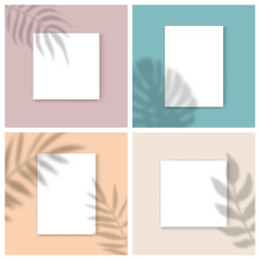 Vector Mockups set with empty white paper sheet on color background and palm leaves shadow overlay effect. Minimalist portfolio blank space backgrounds for web portfolio, poster mock up, presentation