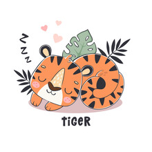 Cute Sleeping Tiger Cartoon Vector Illustration For Posters, T-shirt Print, Postcard. Jungle Animal In Hand Drawn Style	