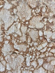 Wall Mural - stone wall texture