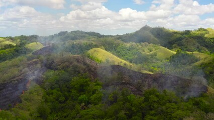 Poster - Fire in the rainforest on the hills covered with tropical vegetation. Forest fire view from the top. Bohol,Philippines.