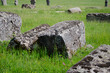 © FarukPhotography - The old medieval necropolis called Stecci in Central Bosnia. Medieval tombstone called Stecak near the town of Novi Travnik. Necropolis called Maculje in the heart of Bosnia and Herzegovina.