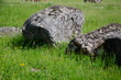 © FarukPhotography - The old medieval necropolis called Stecci in Central Bosnia. Medieval tombstone called Stecak near the town of Novi Travnik. Necropolis called Maculje in the heart of Bosnia and Herzegovina.