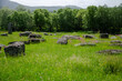 © FarukPhotography - The old medieval necropolis called Stecci in Central Bosnia. Medieval tombstone called Stecak near the town of Novi Travnik. Necropolis called Maculje in the heart of Bosnia and Herzegovina.