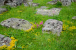 © FarukPhotography - The old medieval necropolis called Stecci in Central Bosnia. Medieval tombstone called Stecak near the town of Novi Travnik. Necropolis called Maculje in the heart of Bosnia and Herzegovina.