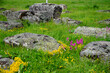 © FarukPhotography - The old medieval necropolis called Stecci in Central Bosnia. Medieval tombstone called Stecak near the town of Novi Travnik. Necropolis called Maculje in the heart of Bosnia and Herzegovina.