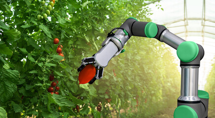 Aufkleber - Robot is working in greenhouse with tomatoes. Smart farming and digital agriculture 4.0