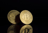 Fototapeta Miasto - Bitcoin crypto gold coin business trading dark background