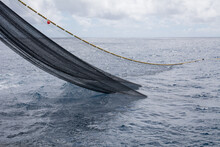Fishing Net Being Picking Up During A Fishing Operation
