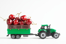 Green Toy Tractor Is Carrying Fresh Red Cherries In A Trailer. White Background. The Concept Of Agricultural Work, Harvesting And Delivery Of Crops. Toy World.