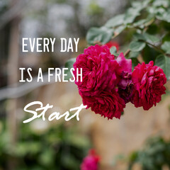 Wall Mural - Motivational and inspirational quotes - Every day is a fresh start