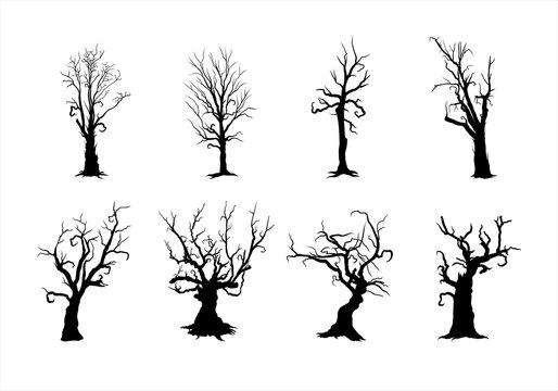 scary, creepy tree silhouette collection