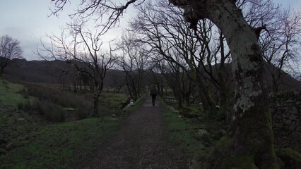 Wall Mural - Dark dim view of a backpacker walking a wooded bridge through the countryside