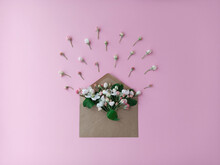 The Concept Of Spring, Summer, Flowering, Awakening Of Nature. Envelope With Apple Blossoms On A Pink Background