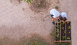 Vista aérea de dos niños irreconocibles, en el jardín del colegio, cuidando del huerto. Fotografía horizontal con espacio para texto.