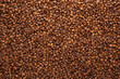 Coffee beans  backround texture with copy space