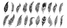 Set Of Hand Drawn Feather Vector Illustrations Isolated On White Background.