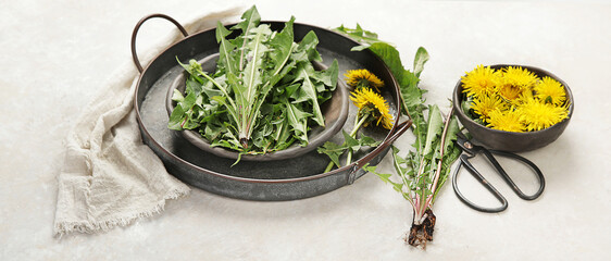 Canvas Print - Fresh dandelion on light background.