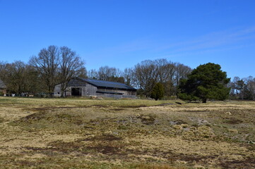 Sticker - Landschaft im Frühling in der Lüneburger Heide, Schneverdingen, Niedersachsen