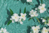 White jasmine flowers in transparent water. Summer floral composition with sun and shadows. Nature concept. Top view. Selective focus