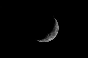 Wall Mural - Quarter crescent moon, on a black background of the night. Lunar surface with craters.
